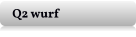Q2 wurf