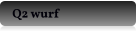 Q2 wurf